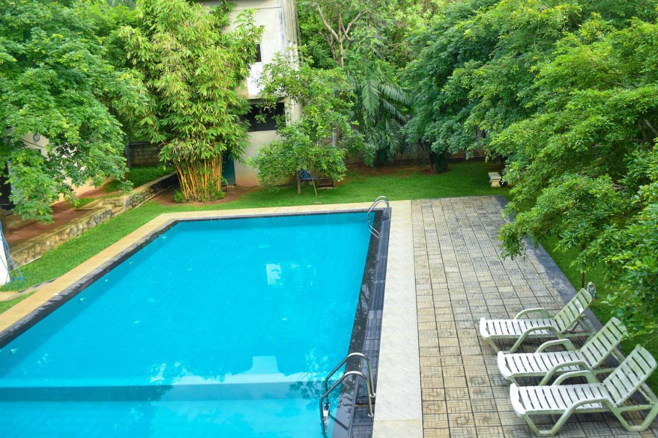 Pivisuma Lodge دامبولا المظهر الخارجي الصورة