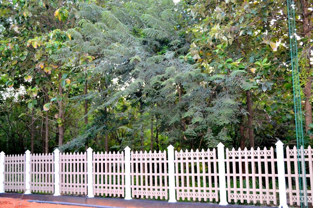Pivisuma Lodge دامبولا المظهر الخارجي الصورة